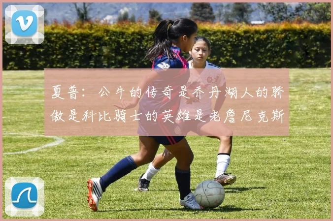 夏普：公牛的传奇是乔丹湖人的骄傲是科比骑士的英雄是老詹尼克斯的希望是布伦森