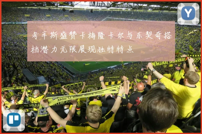 考辛斯盛赞卡梅隆卡尔与东契奇搭档潜力无限展现独特特点